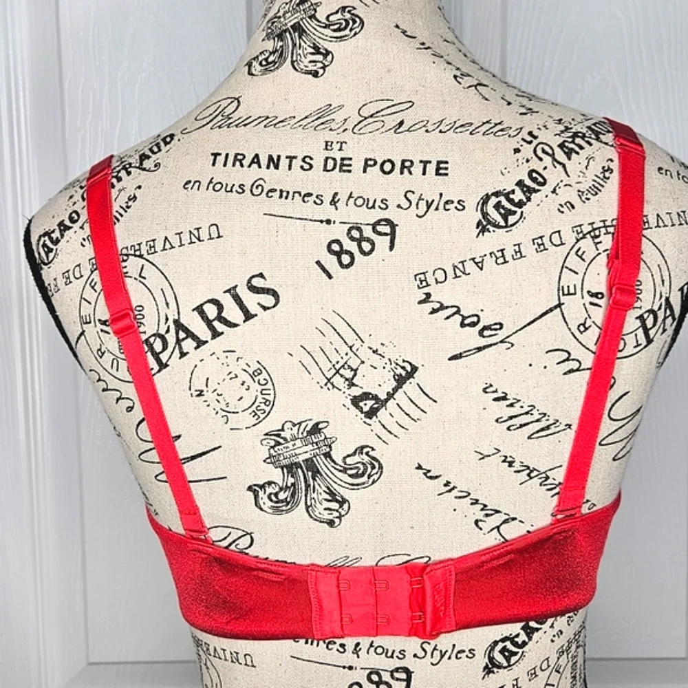 La SENZA 32DD Red Black Lace Plunge Bra Molded Cup Underwire Sexy Lingerie - Picture 7 of 15